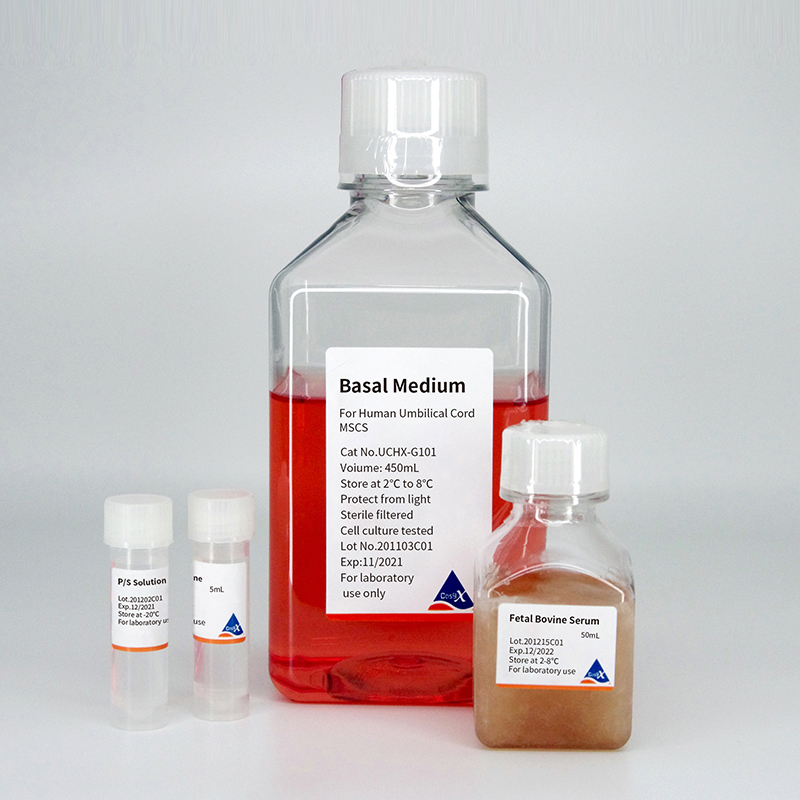 HyCyte™肌腱干细胞去外泌体专用培养基(500mL)
