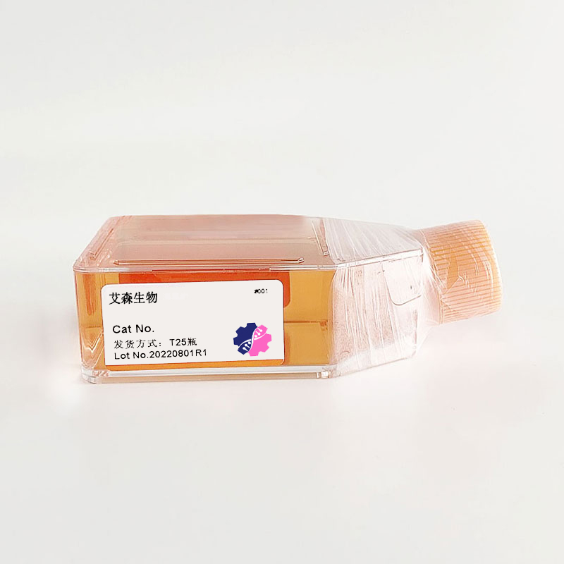 FHL3 Knockout cell line (HCT 116)